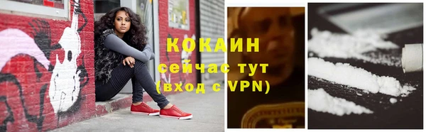 кокс Алзамай